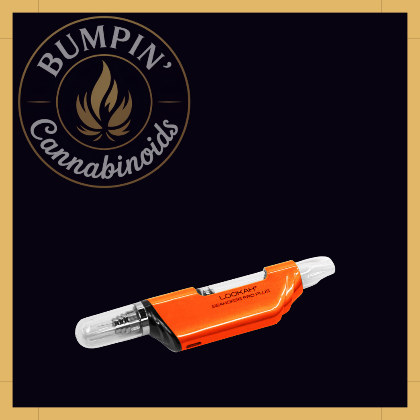 Seahorse Pro PLUS Nectar Collector Kit | Lookah