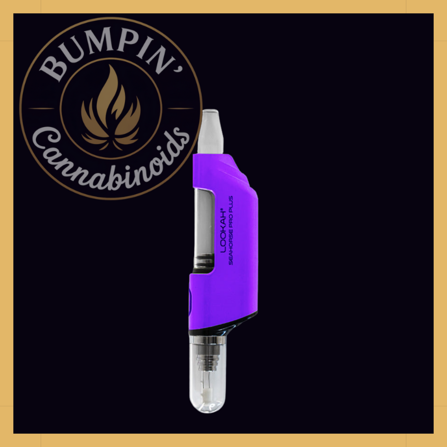 Seahorse Pro PLUS Nectar Collector Kit | Lookah