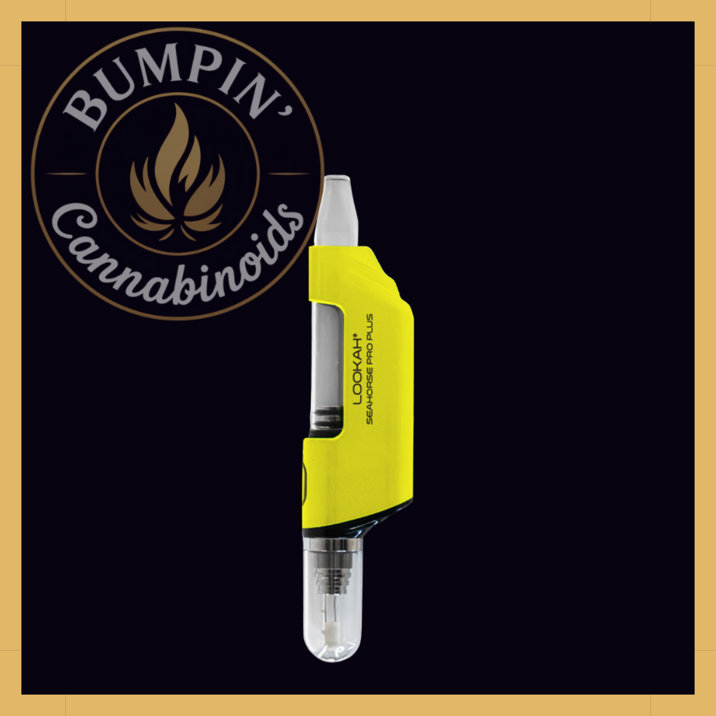 Seahorse Pro PLUS Nectar Collector Kit | Lookah