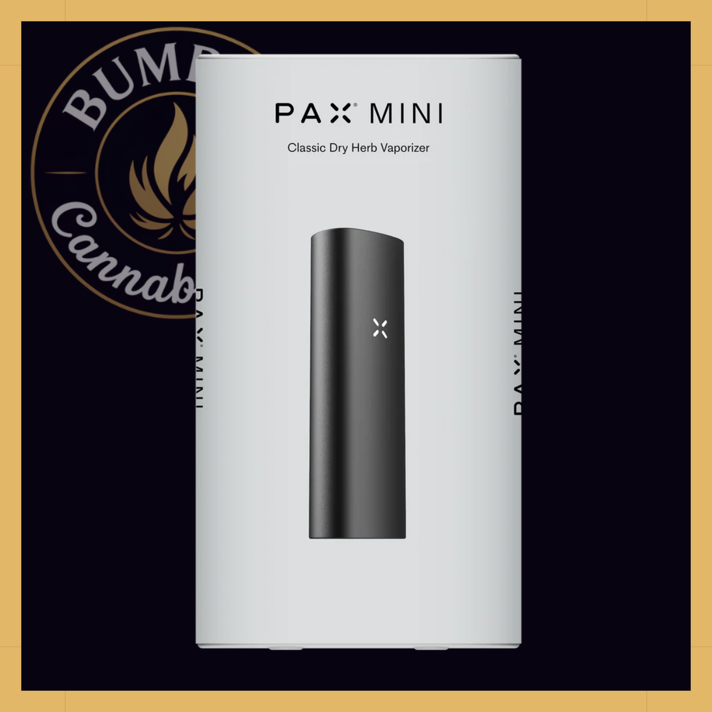 PAX Mini 2