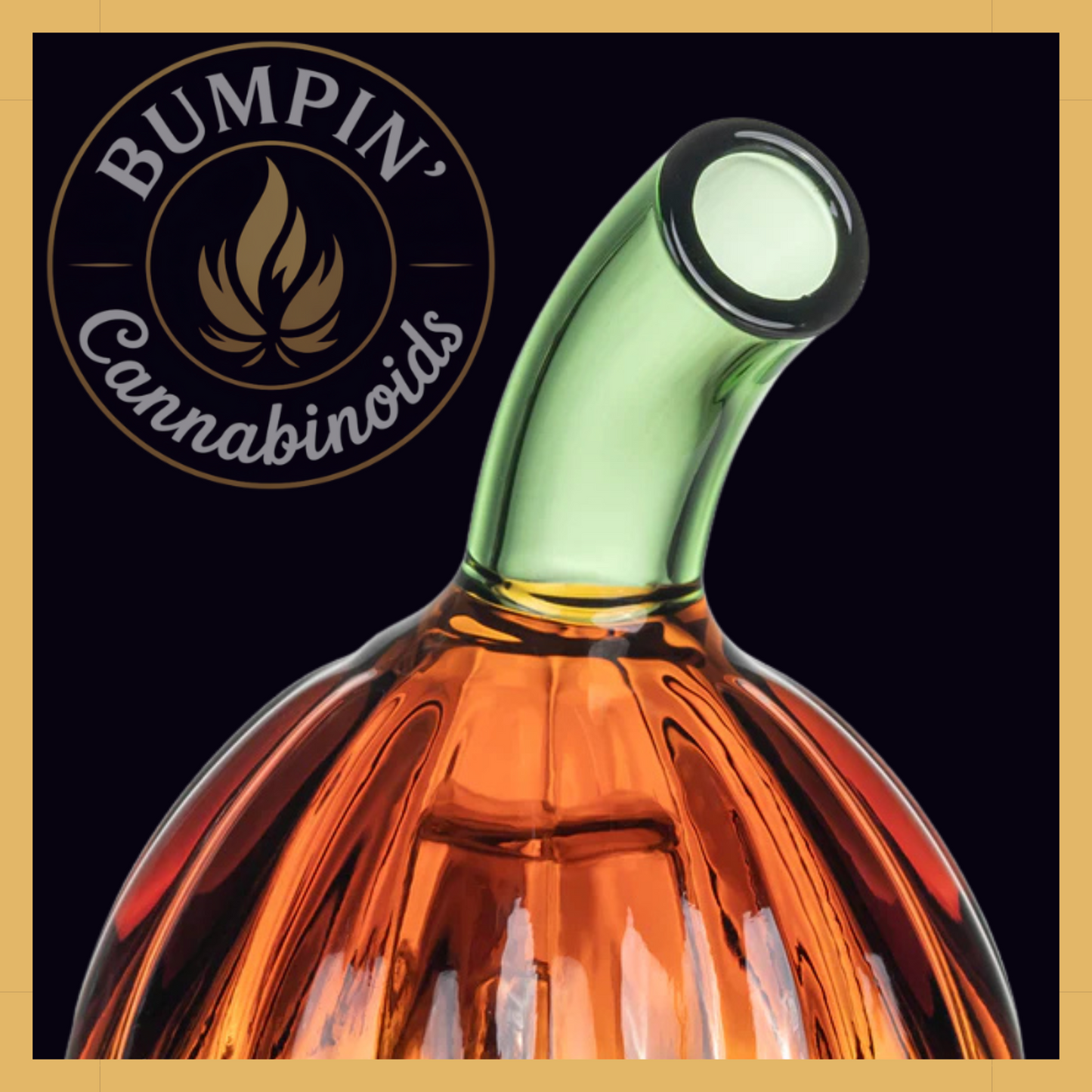 MJ Arsenal Gourdy – Pivot Top