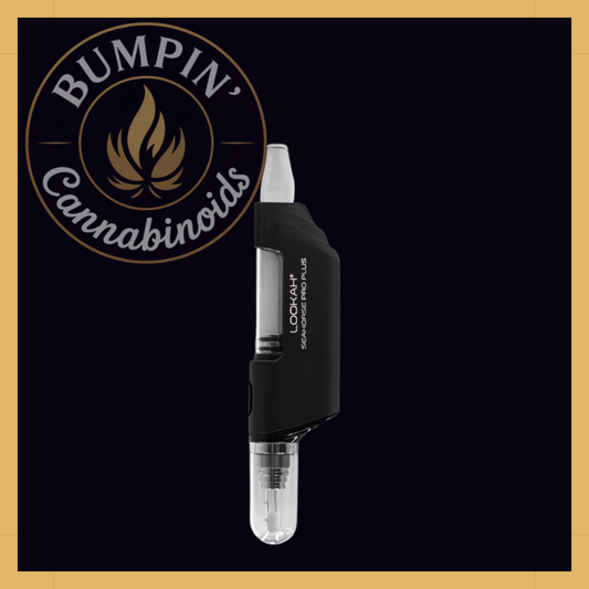 Seahorse Pro PLUS Nectar Collector Kit | Lookah