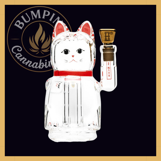 Lucky Money Cat – Peak Top