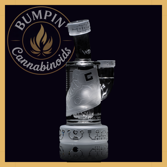Motherboard Mid '23 6" Dab Rig