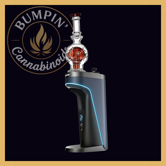 EXOSPHERE GLASS ATTACHMENT FOR DR.DABBER SWITCH 2 | CALIBEAR