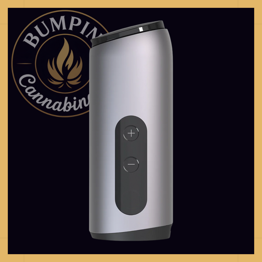 AUXO Celsius | Dual-Use Smart Vaporizer