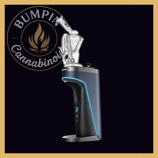 Calibear Dual Recycler Glass Attachment for Dr. Dabber Switch 2