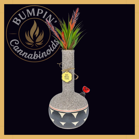 Coyōté Vase – Ceramic Art Deco Piece - Bumpin' Cann