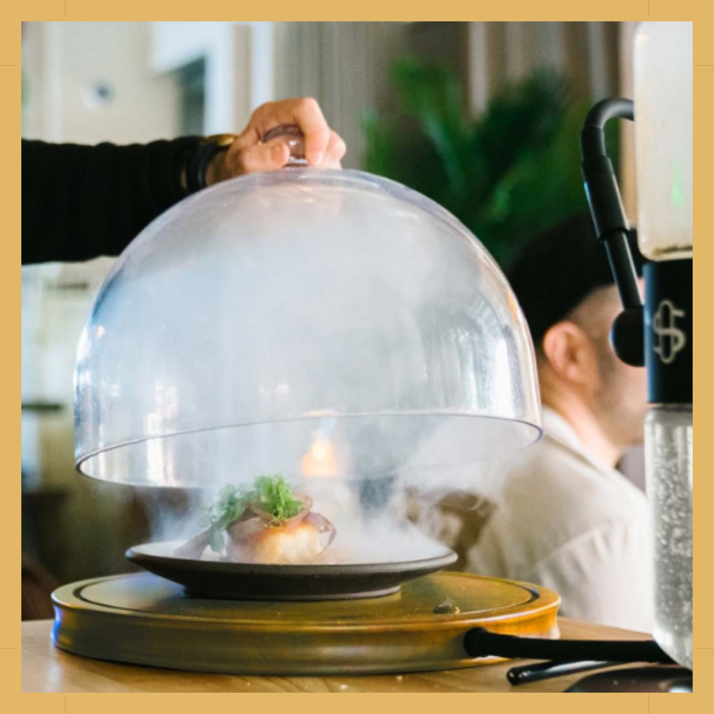 Tray Cloche Glass Dome