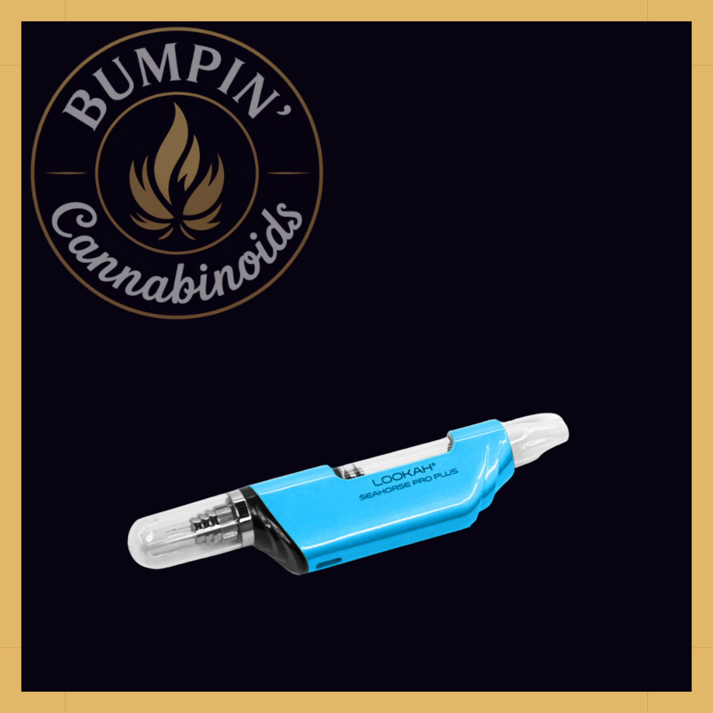 Seahorse Pro PLUS Nectar Collector Kit | Lookah