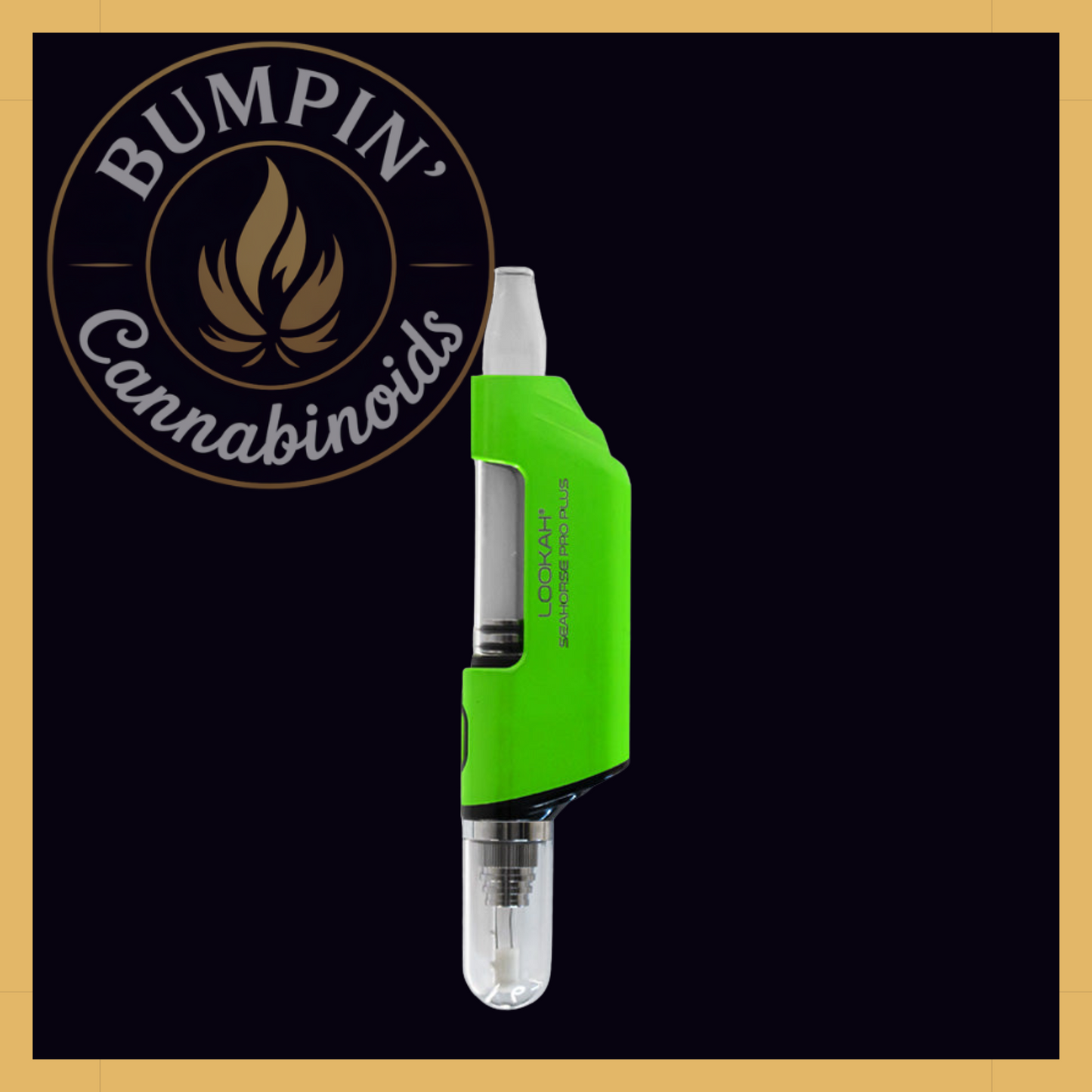 Seahorse Pro PLUS Nectar Collector Kit | Lookah