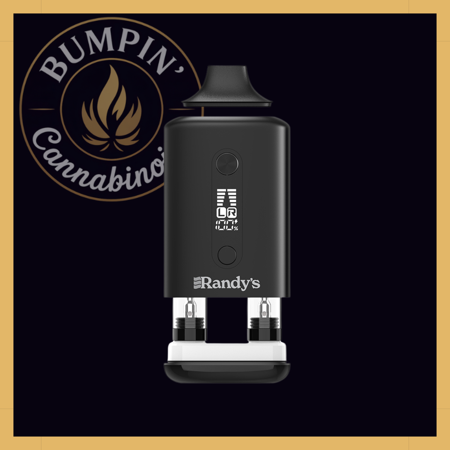 Randy's Inspo Dual 510 Battery