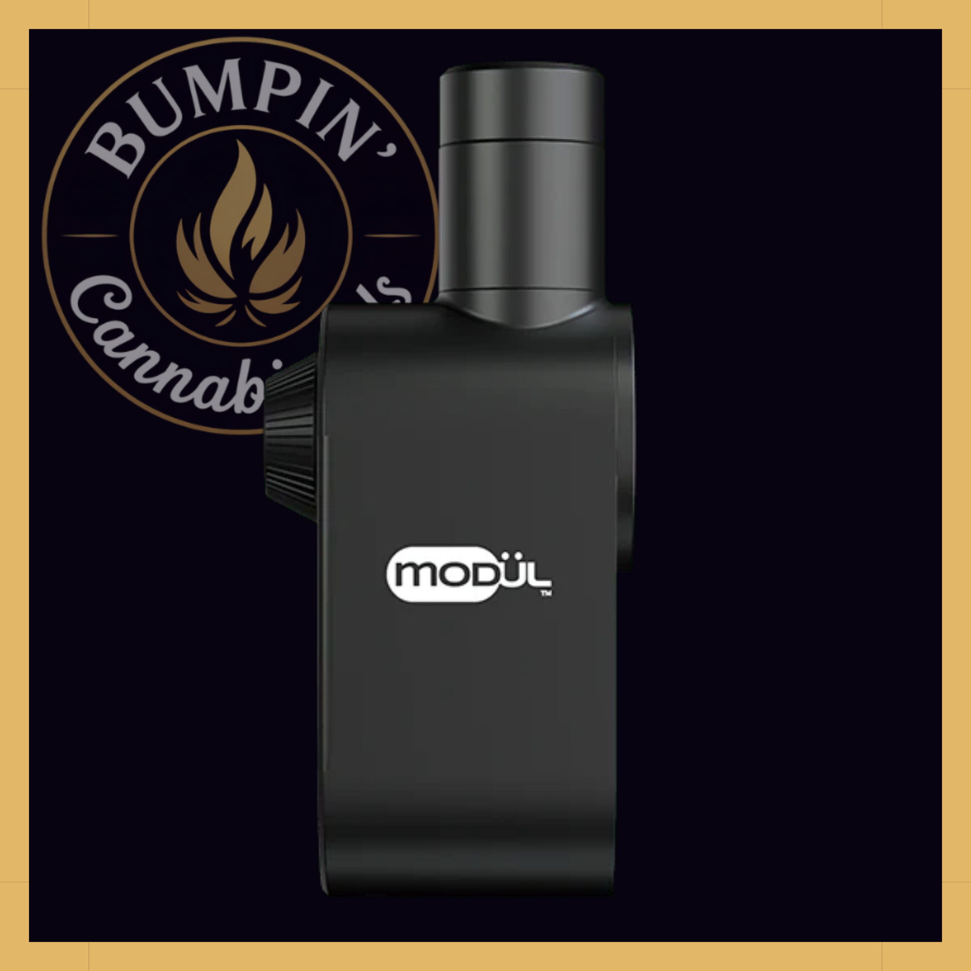 Stündenglass MODÜL E-Nail - Attachment for Concentrates - Bumpin' Cann
