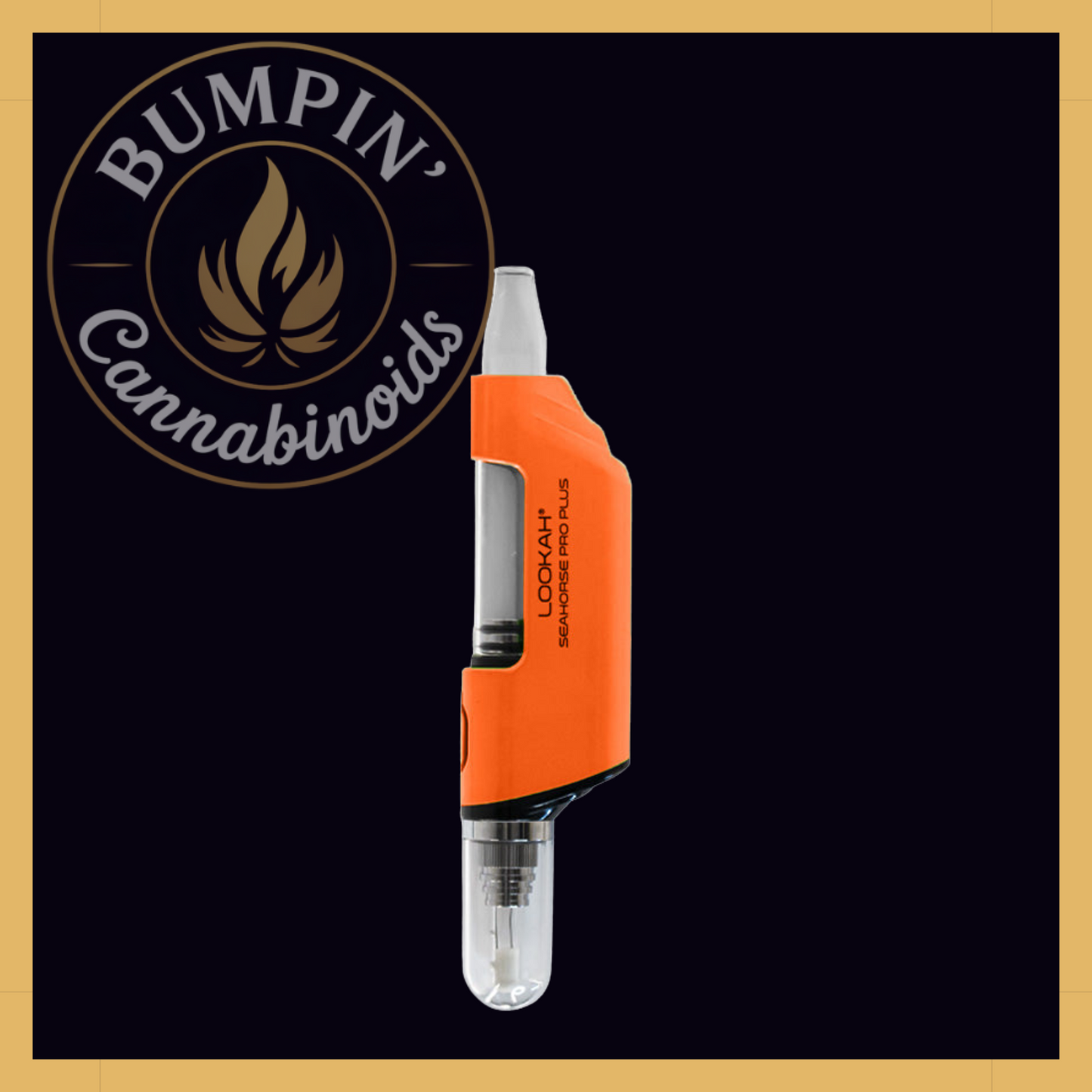 Seahorse Pro PLUS Nectar Collector Kit | Lookah
