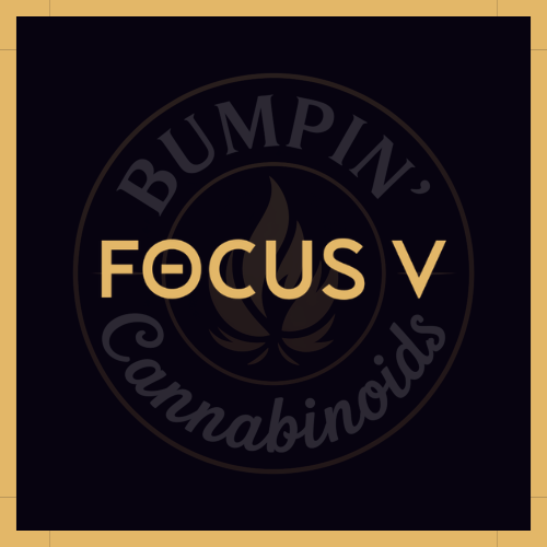 Focus V