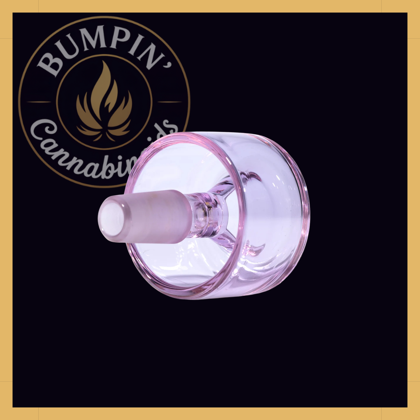 NWTN Home Vesper Bowl