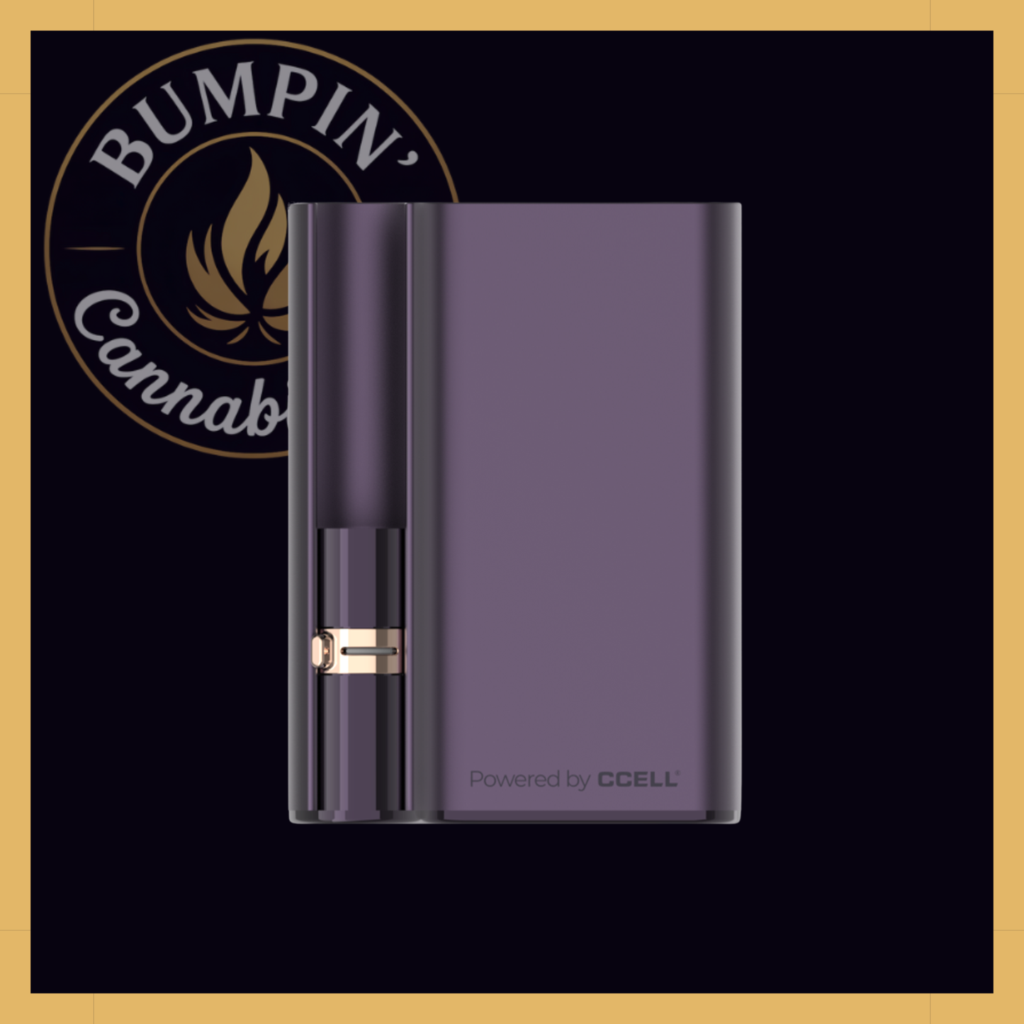 CCELL Palm Pro