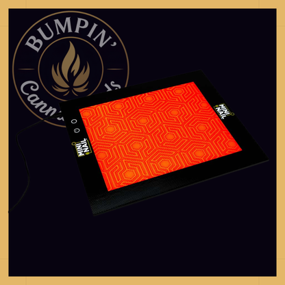 Backlit SlabPad