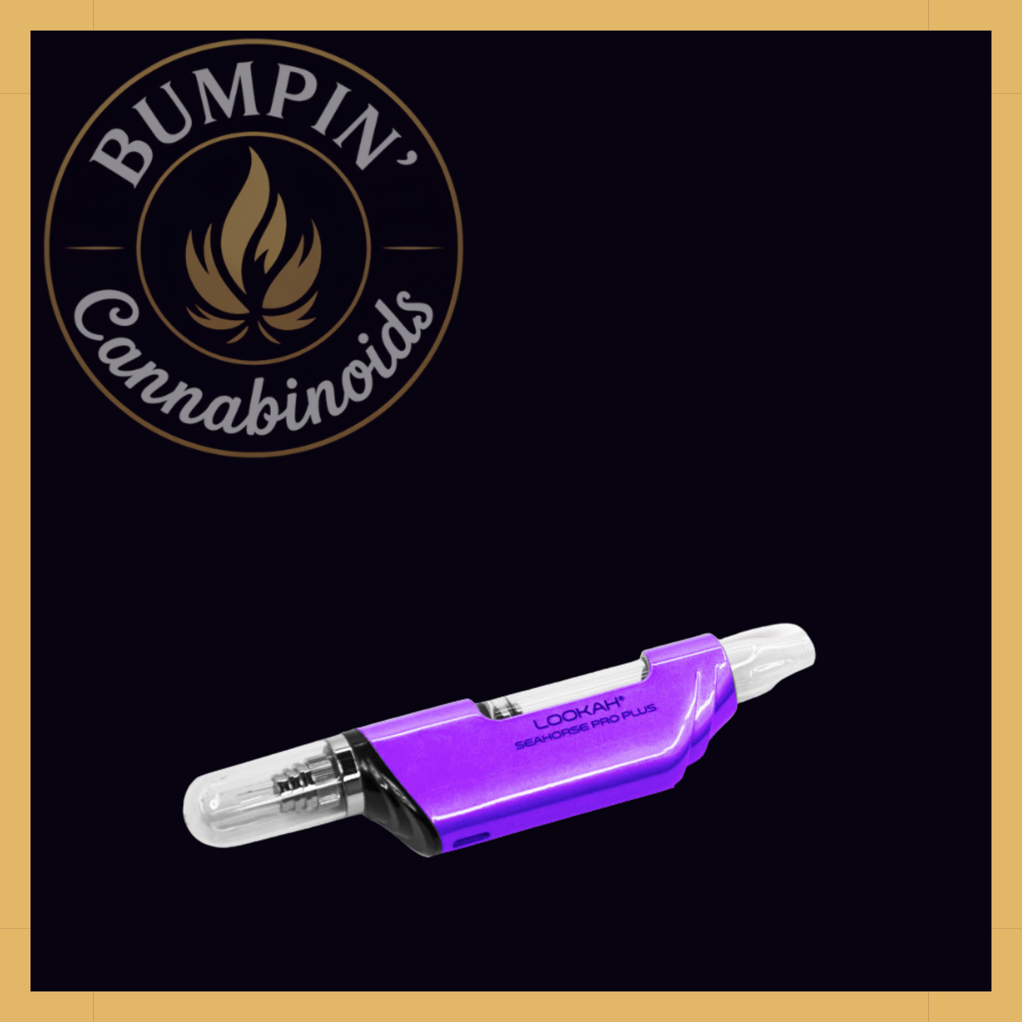 Seahorse Pro PLUS Nectar Collector Kit | Lookah