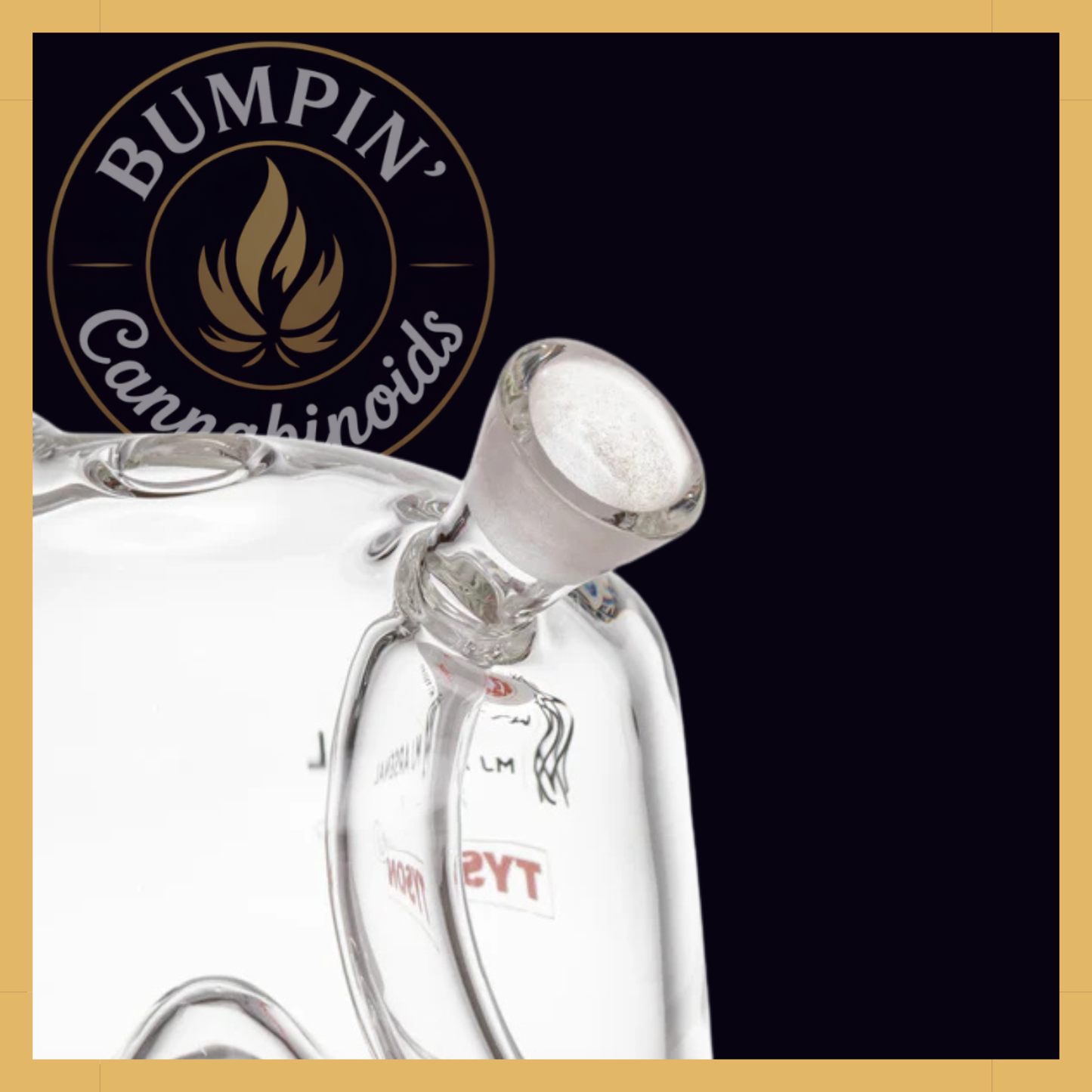 MJ Arsenal x Tyson 2.0 Punch-Out