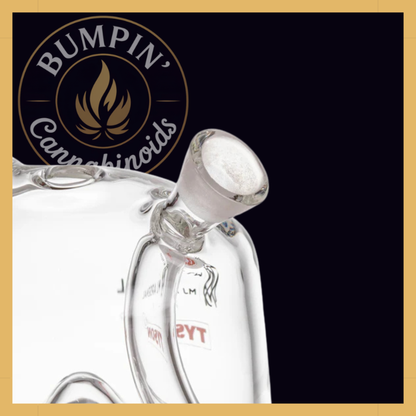 MJ Arsenal x Tyson 2.0 Punch-Out