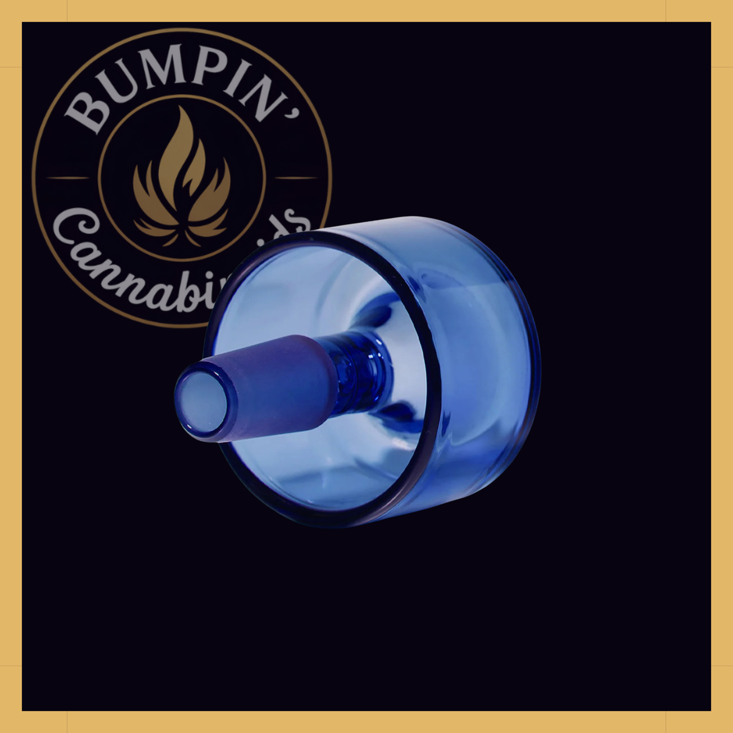 NWTN Home Vesper Bowl