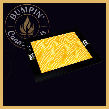 Backlit SlabPad