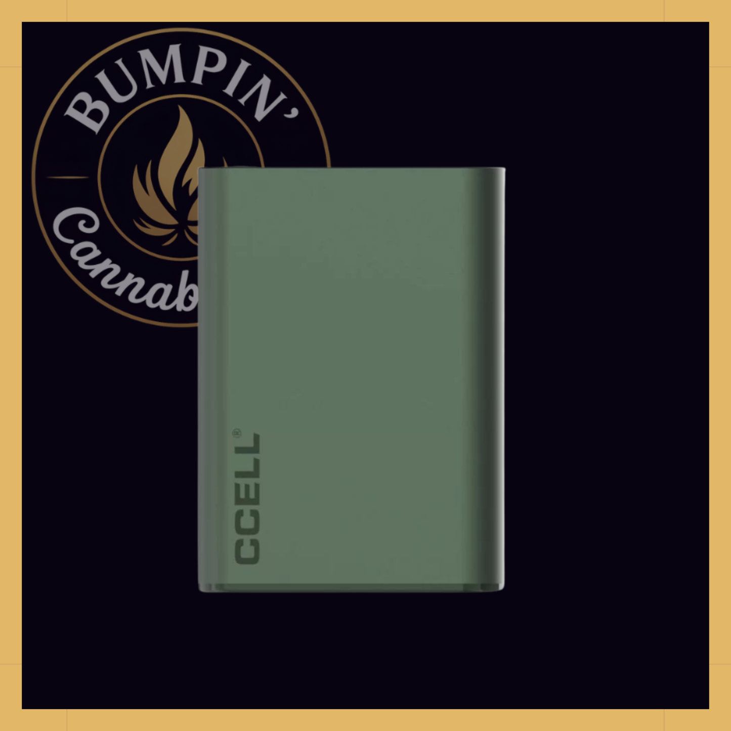 CCELL Palm Pro