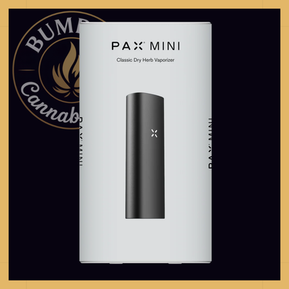 PAX Mini 2
