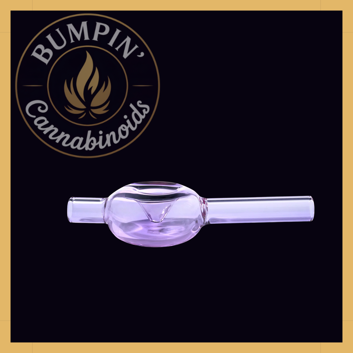 NWTN Home Bolla Hand Glass