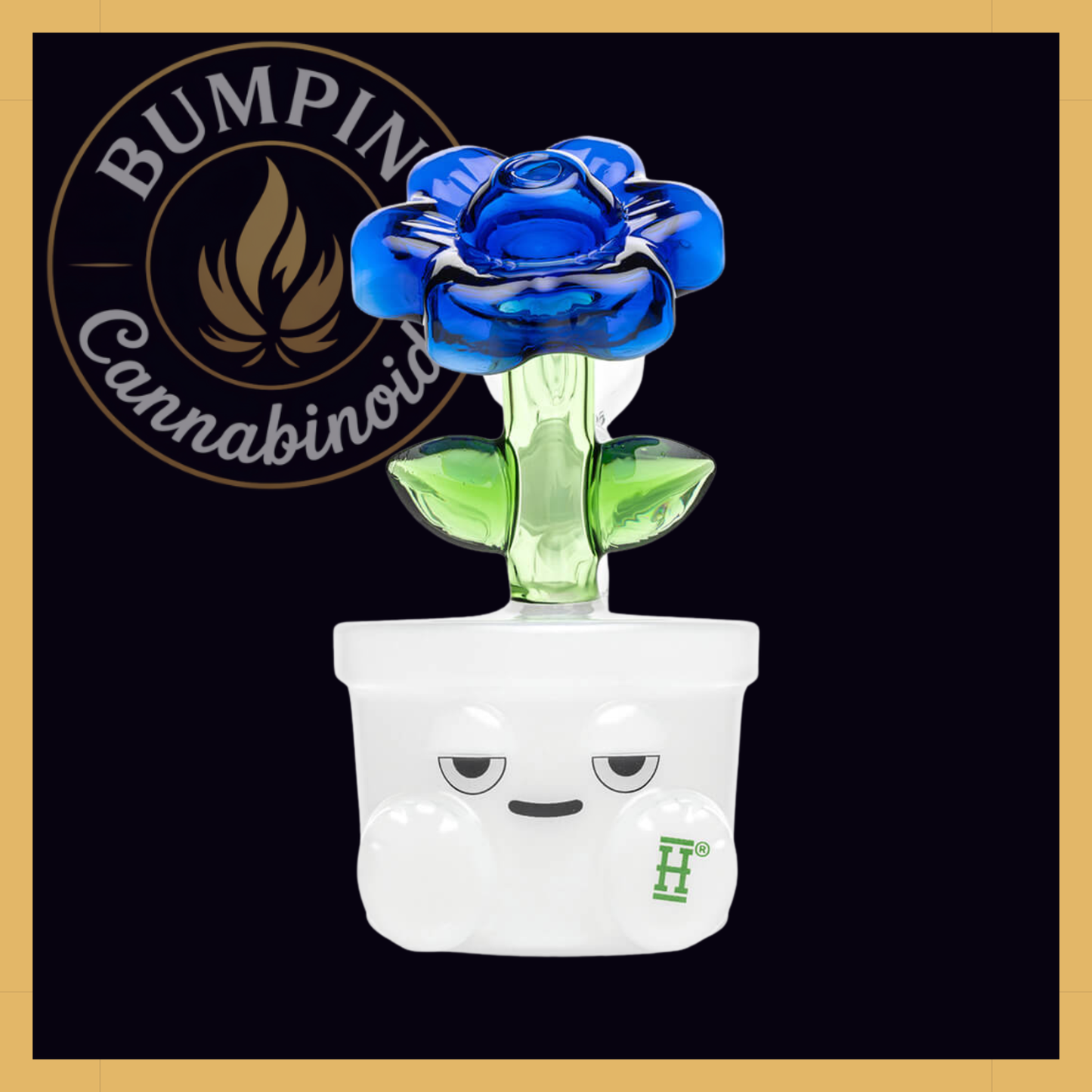 Bloom Glass | Hemper