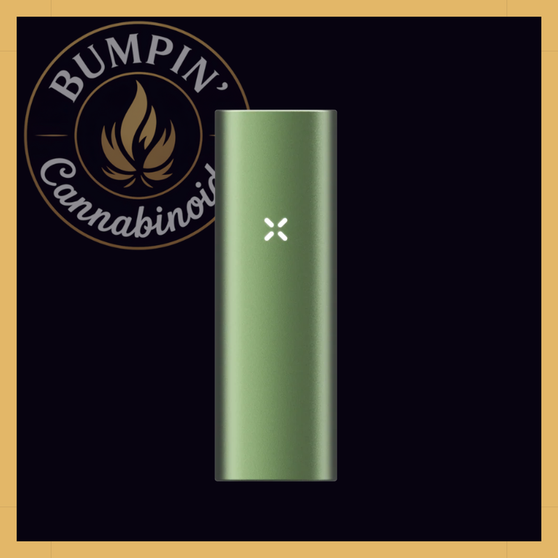 PAX Mini 2