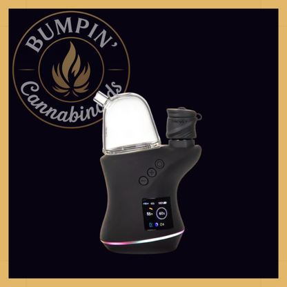 MJ Arsenal The Bridge – Focus V Carta Top