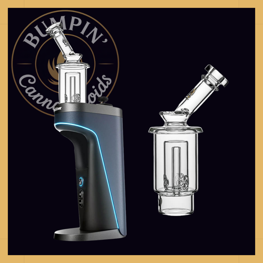 SEED OF LIFE PERC GLASS ATTACHMENT FOR DR.DABBER SWITCH 2 | CALIBEAR