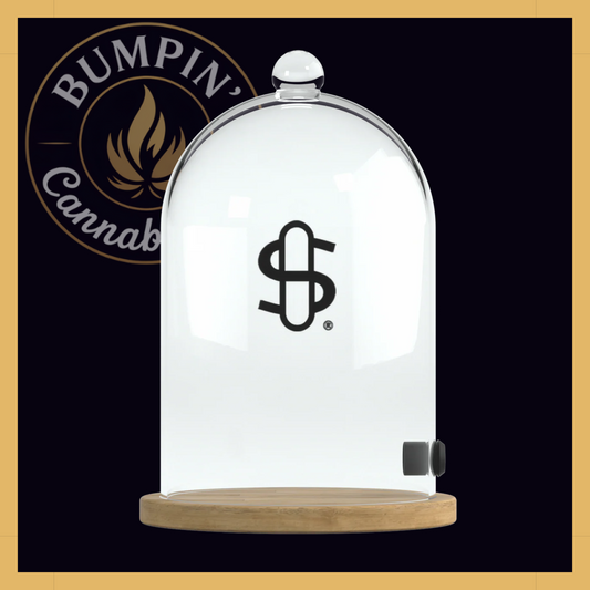 Beverage Cloche Glass Dome