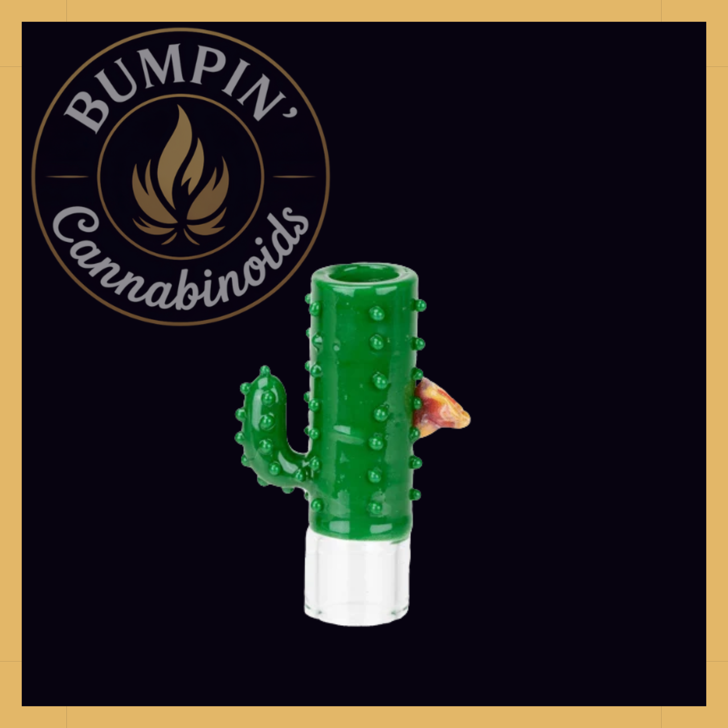 Hose Tip Cactus | Stündenglass