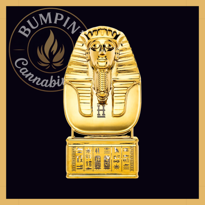 Hemper Egypt XL Glass 9.8 inch