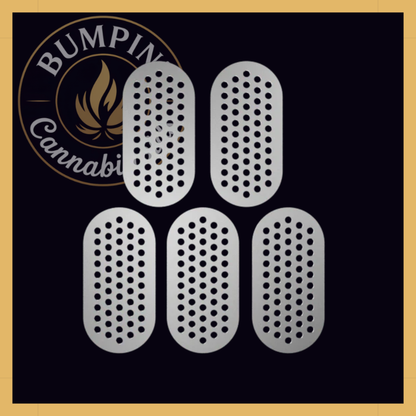 G Pen Dash+ Mouthpiece Filter Screens, 5-Pack