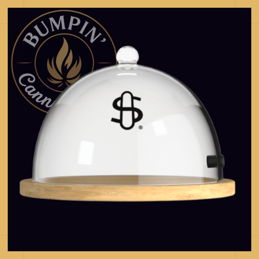 Tray Cloche Glass Dome