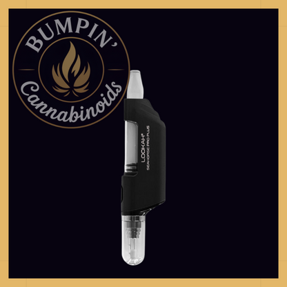 Seahorse Pro PLUS Nectar Collector Kit | Lookah