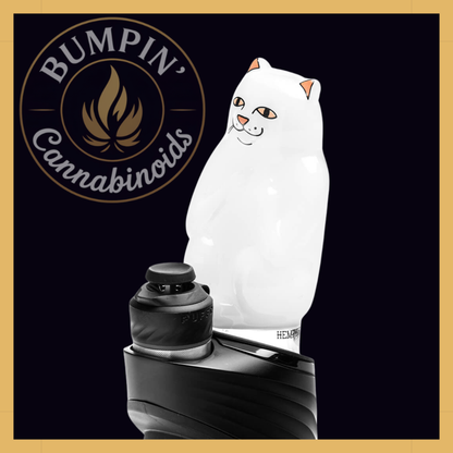 RIPNDIP x HEMPER High Nermal – Peak Top