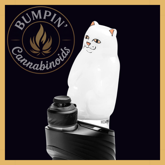 RIPNDIP x HEMPER High Nermal – Peak Top