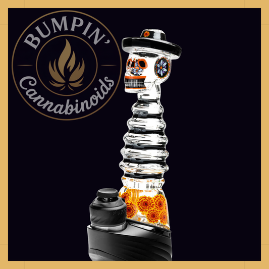 Dia De Los Muertos – Peak Top