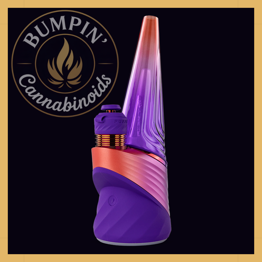 Puffco Peak Pro 3DXL