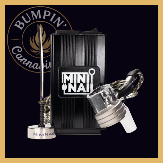 MiniNail Complete Kit (Quartz Banger)