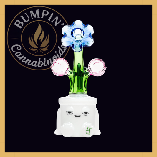 Bloom XL Glass | Hemper
