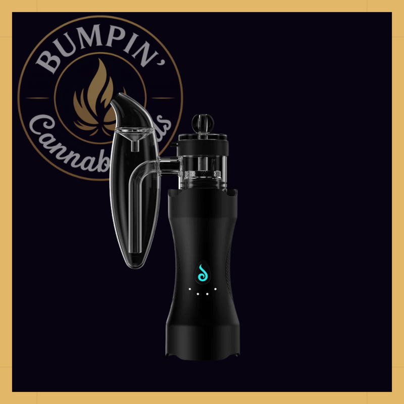 Dr. Dabber XS™ Replacement Glass Attachment - Bumpin' Cann