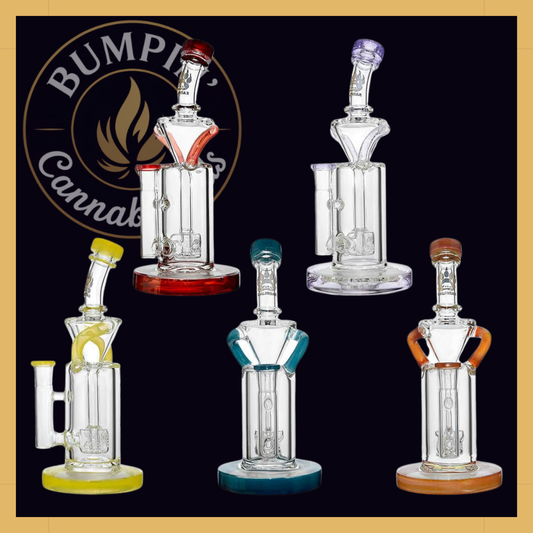 Calibear Vortex Turbo Incycler 8” Glass with TRI-SEED Perc