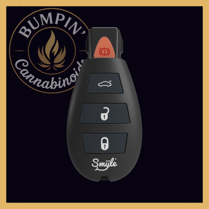 Penjamin Car Key 510 Battery