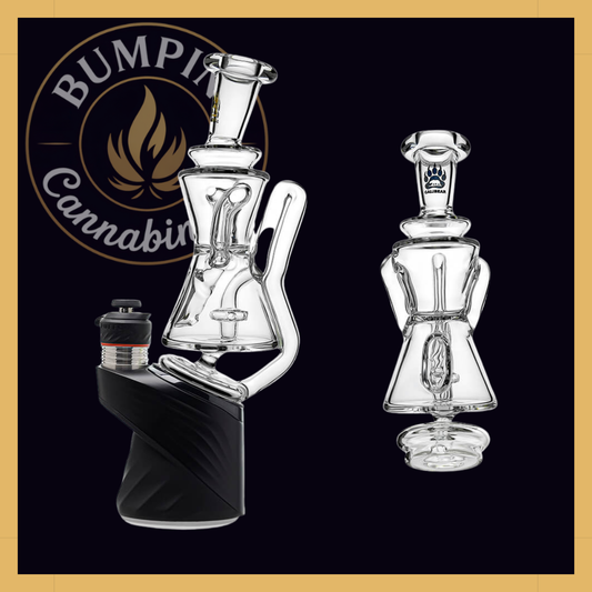 Gilly Recycler Glass Attachment | Calibear